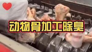 洁匠净化·的净工业除臭剂_动物骨回收、加工，除臭剂怎么用？洁匠消除氨气、硫化氢等大量异味！