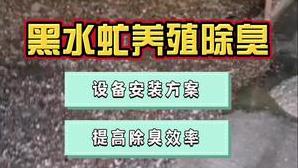 洁匠净化·的净工业除臭剂_黑水虻养殖除臭，为什么推荐高压喷雾除臭？