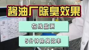 洁匠净化·的净工业除臭剂_酱油厂废气除臭（第二集） 在线监测，除臭剂效果看得见！