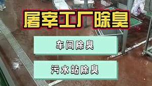 洁匠净化·的净工业除臭剂_屠宰厂恶臭情况复杂、影响周边，巧用除臭剂，让除臭工作变得简单、轻松！