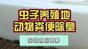 洁匠净化·的净工业除臭剂_用猪粪、牛粪养殖黑水虻、蚯蚓、蝇蛆等虫子，如何除臭？除臭剂不伤害虫体健康，也避免周边投诉！
