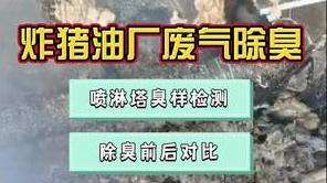 洁匠净化·的净工业除臭剂_炸猪油厂废气油烟异味大、温度高，除臭剂有效吗？仪器检测，验收除臭效果！