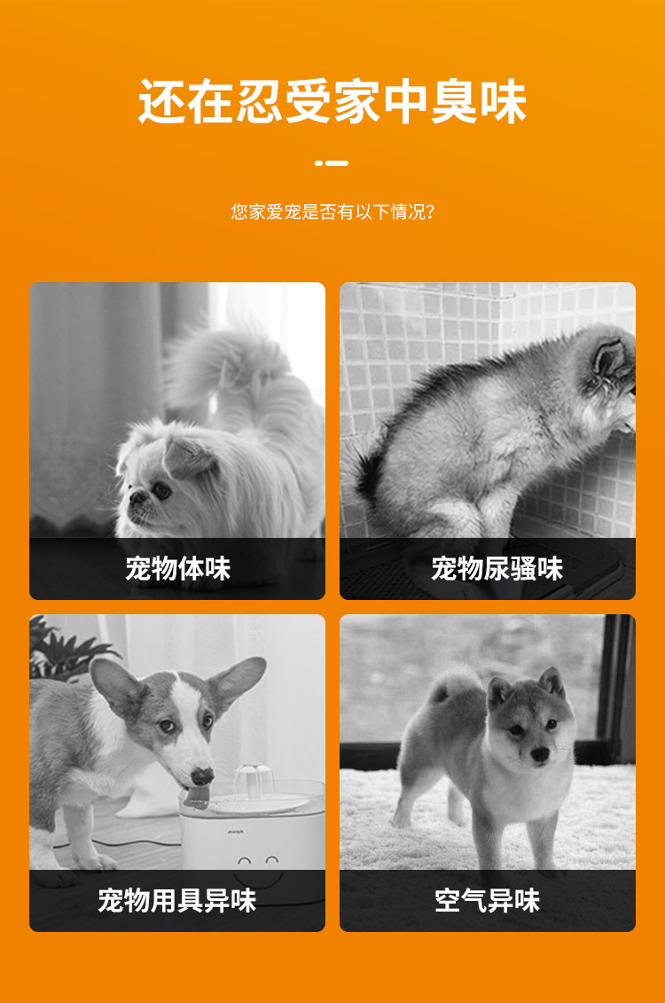 宠物杀菌除味_02.jpg