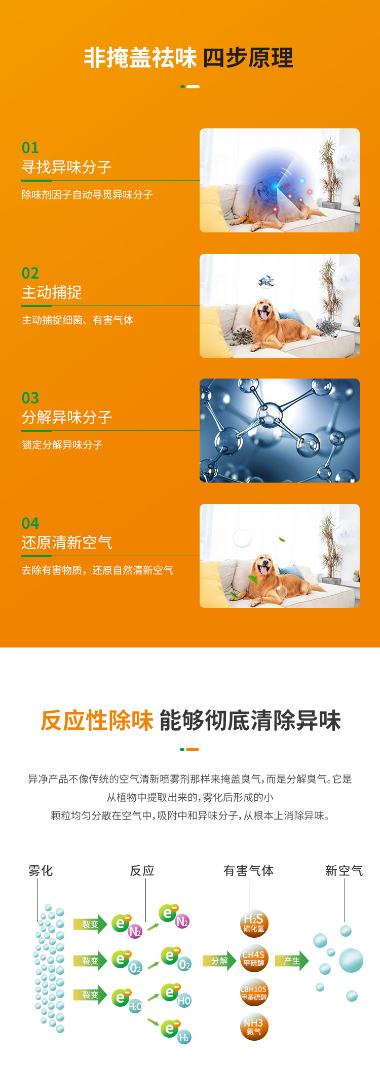 宠物杀菌除味_05.jpg