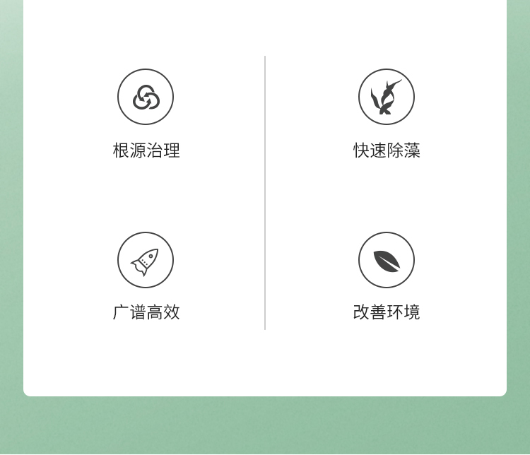 杀菌灭藻_02.jpg