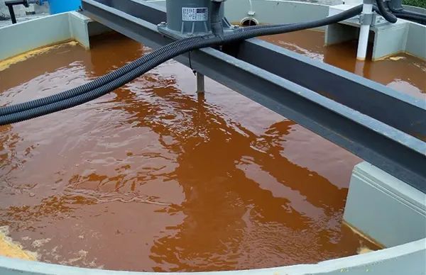 油漆厂废水池刺激性异味大 工业除臭剂实验测试除臭效果.jpg
