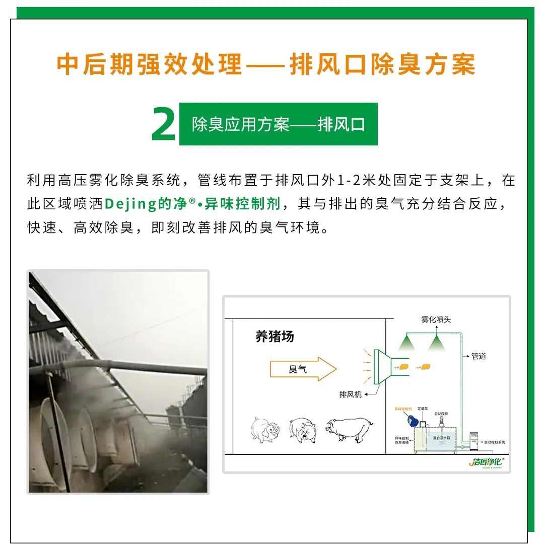 Dejing的净养殖场除臭剂如何迅速清理养殖场臭味？.jpg