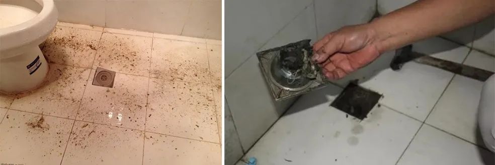 家里卫生间老有异味，洁匠净化教您如何解决难闻的臭味.jpg