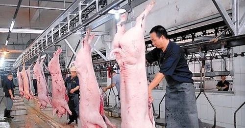 屠宰场臭气影响周边环境？解决办法在这里.jpg